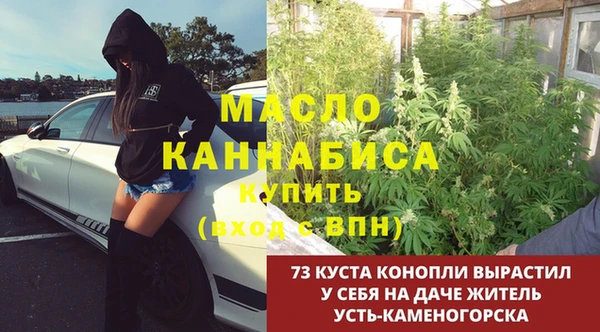 PSILOCYBIN Богданович