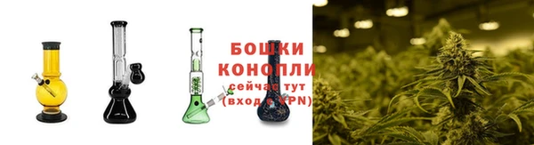 PSILOCYBIN Богданович