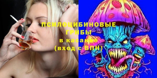 PSILOCYBIN Богданович