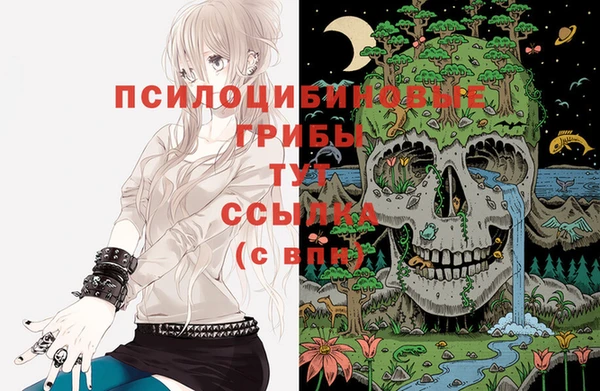 герыч Богородицк