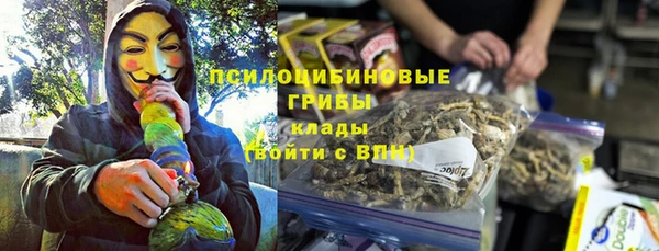 PSILOCYBIN Богданович