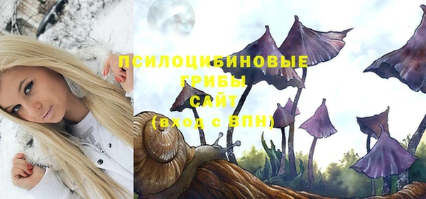 герыч Богородицк