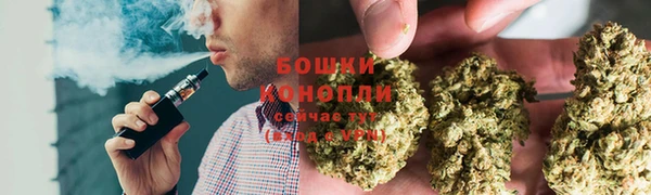 PSILOCYBIN Богданович