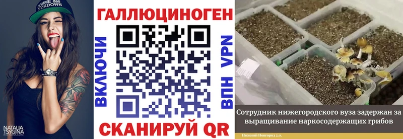 Псилоцибиновые грибы Psilocybe  Малоярославец 